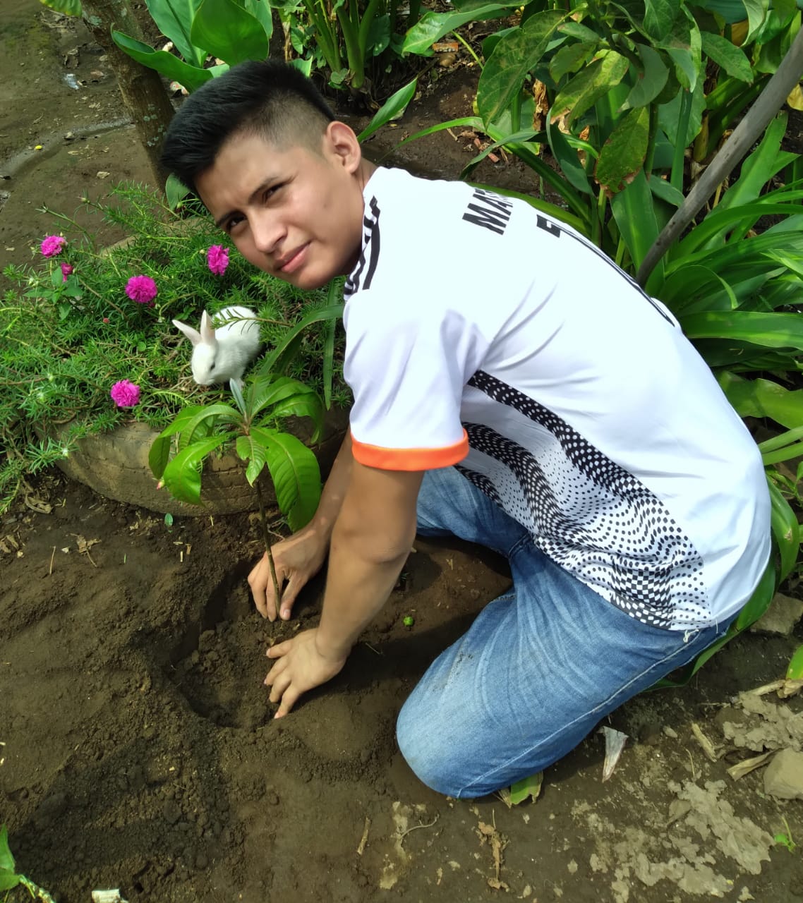 Mateo planting a shrub