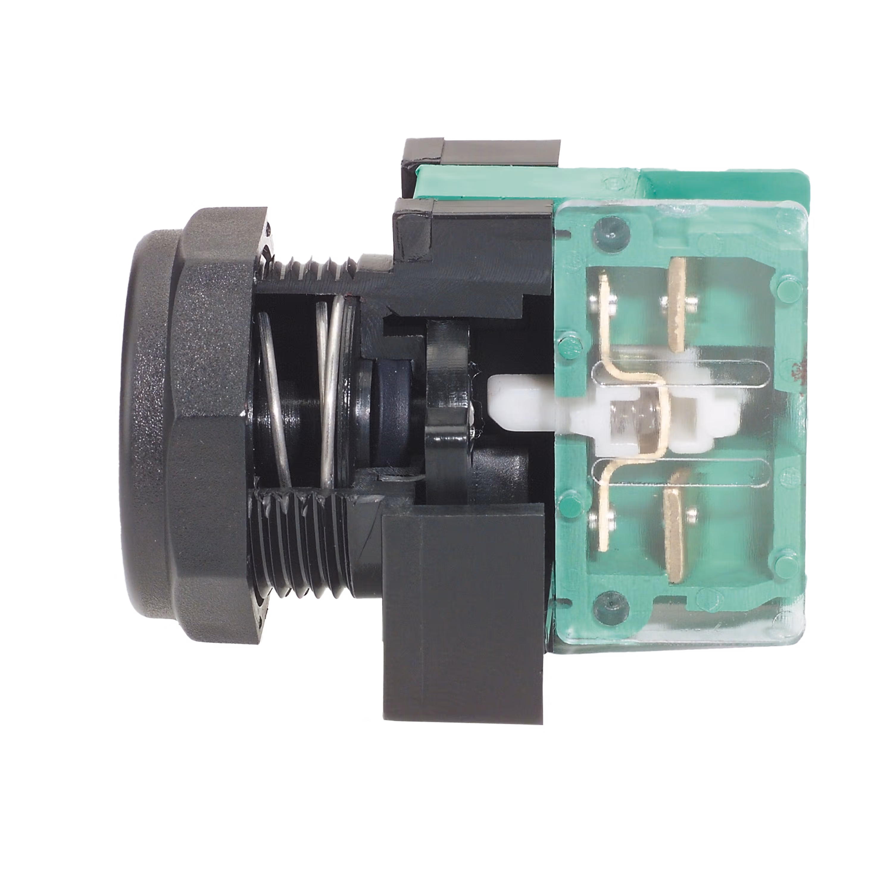 30mm Push Button cutaway