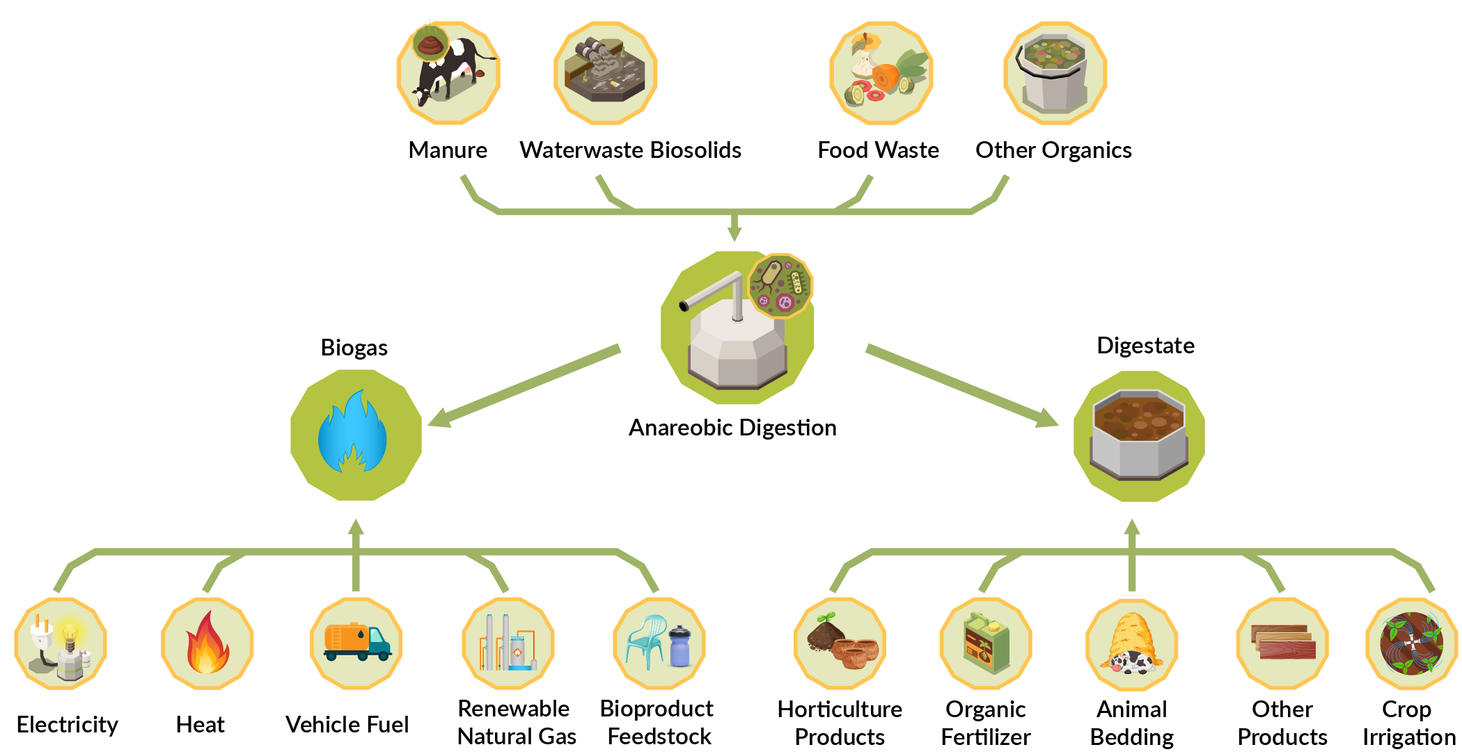 Anaerobic Digestion and Biogas Production