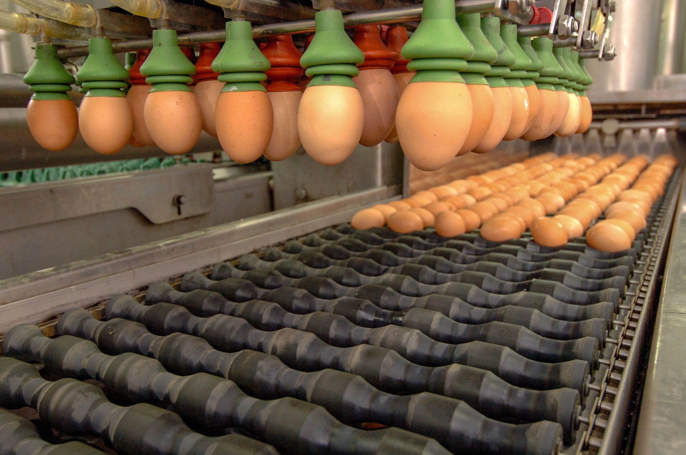 Factory Automation