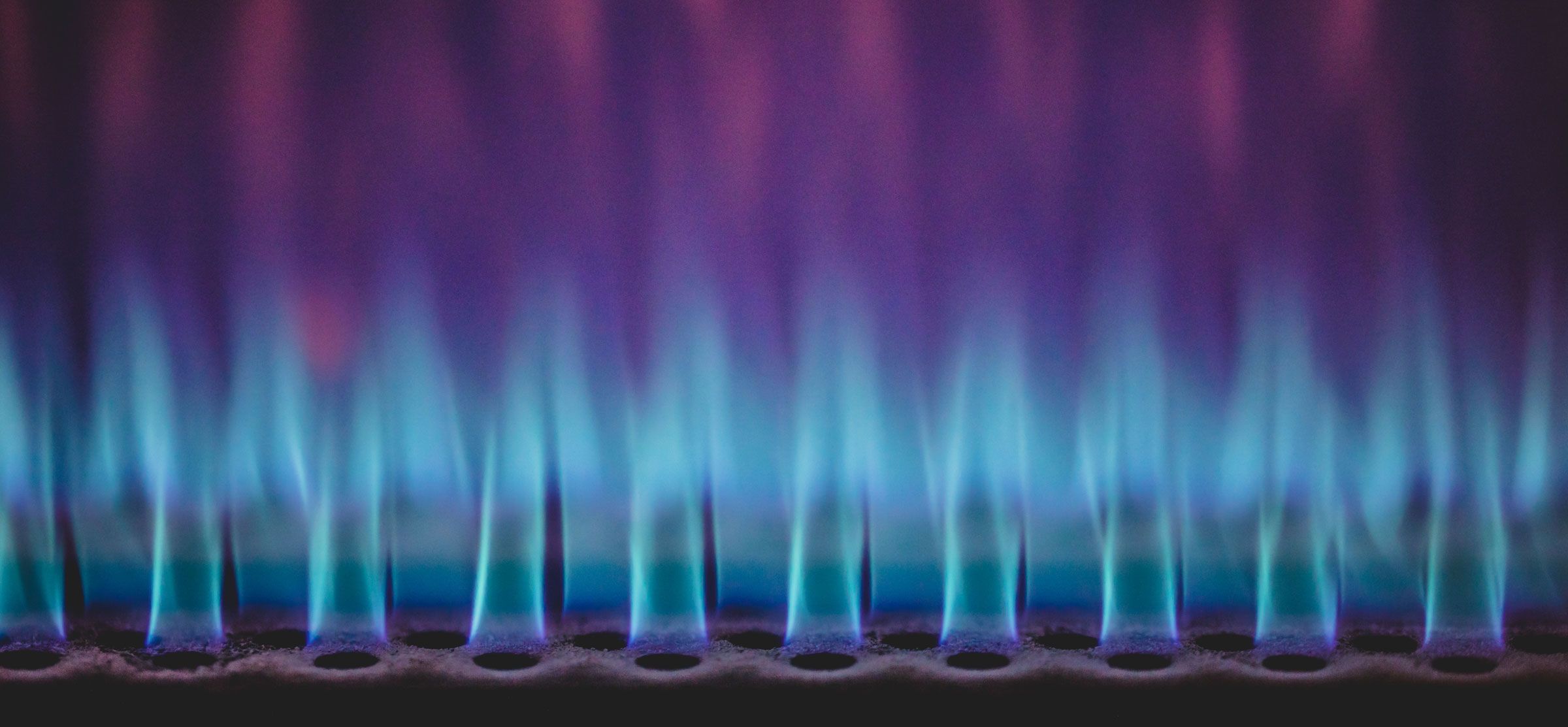 Flame tongues burning in blaze