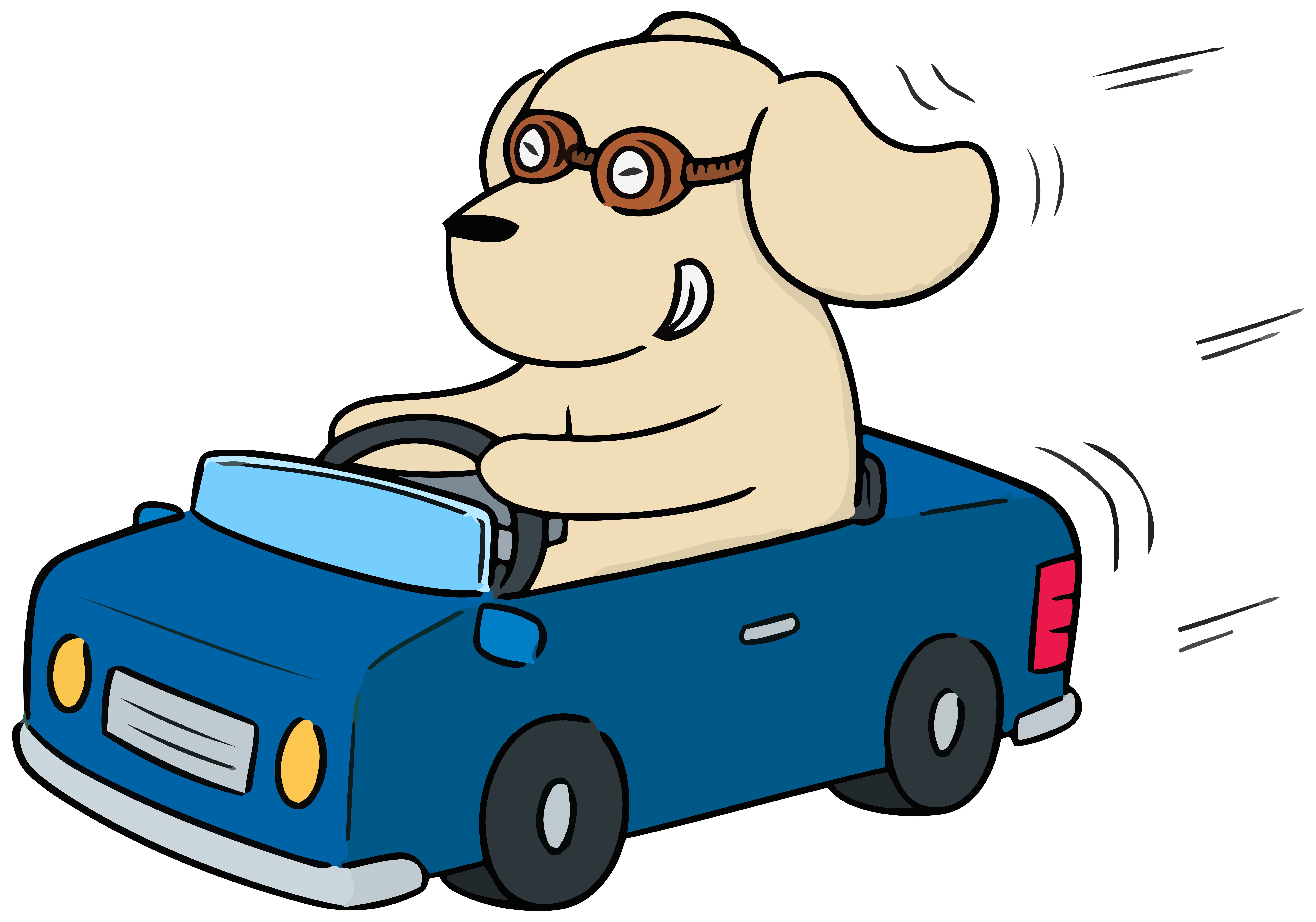 Are you a lead dog or part of the pack?